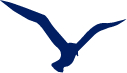Gulf Coast Community FCU